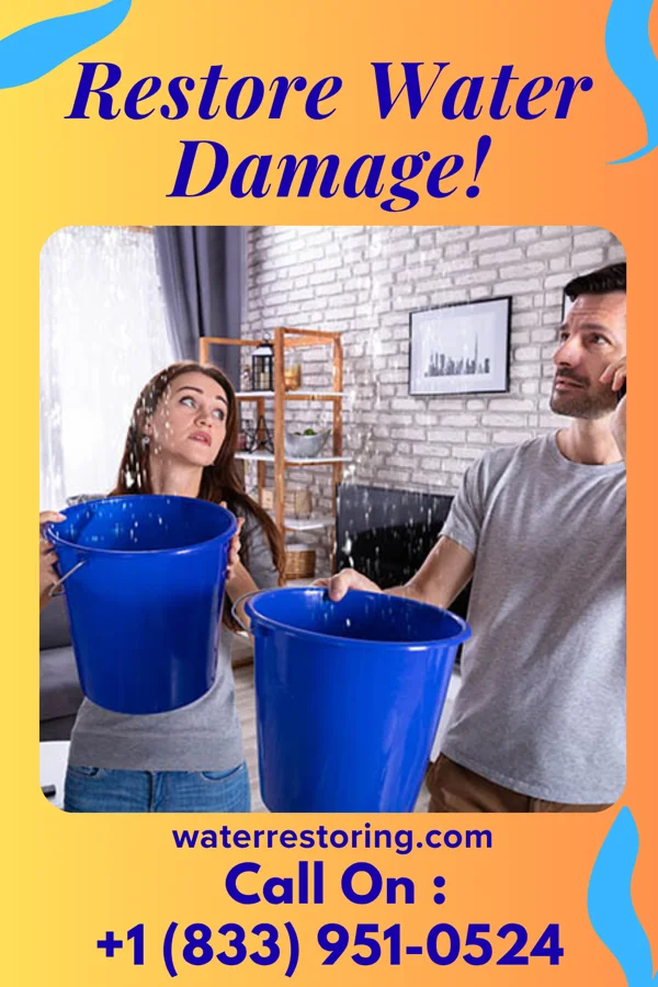 water restoration Sterling Storm Damage Professionals Gulf Breeze